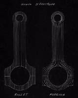 grain_structure.jpg (23167 bytes)